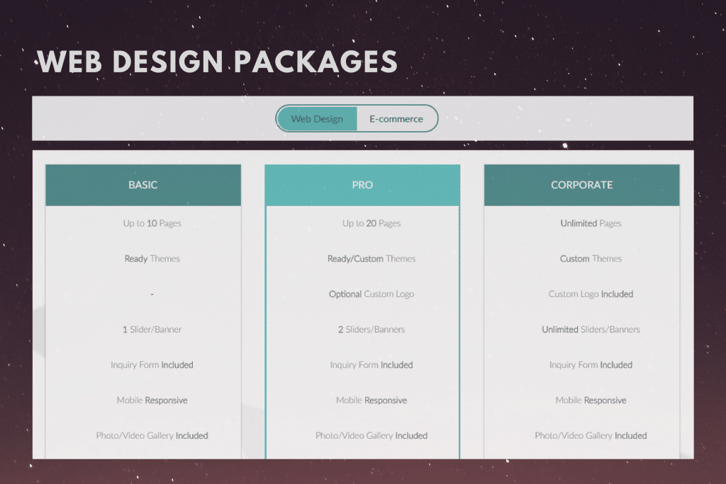 Website design packages
